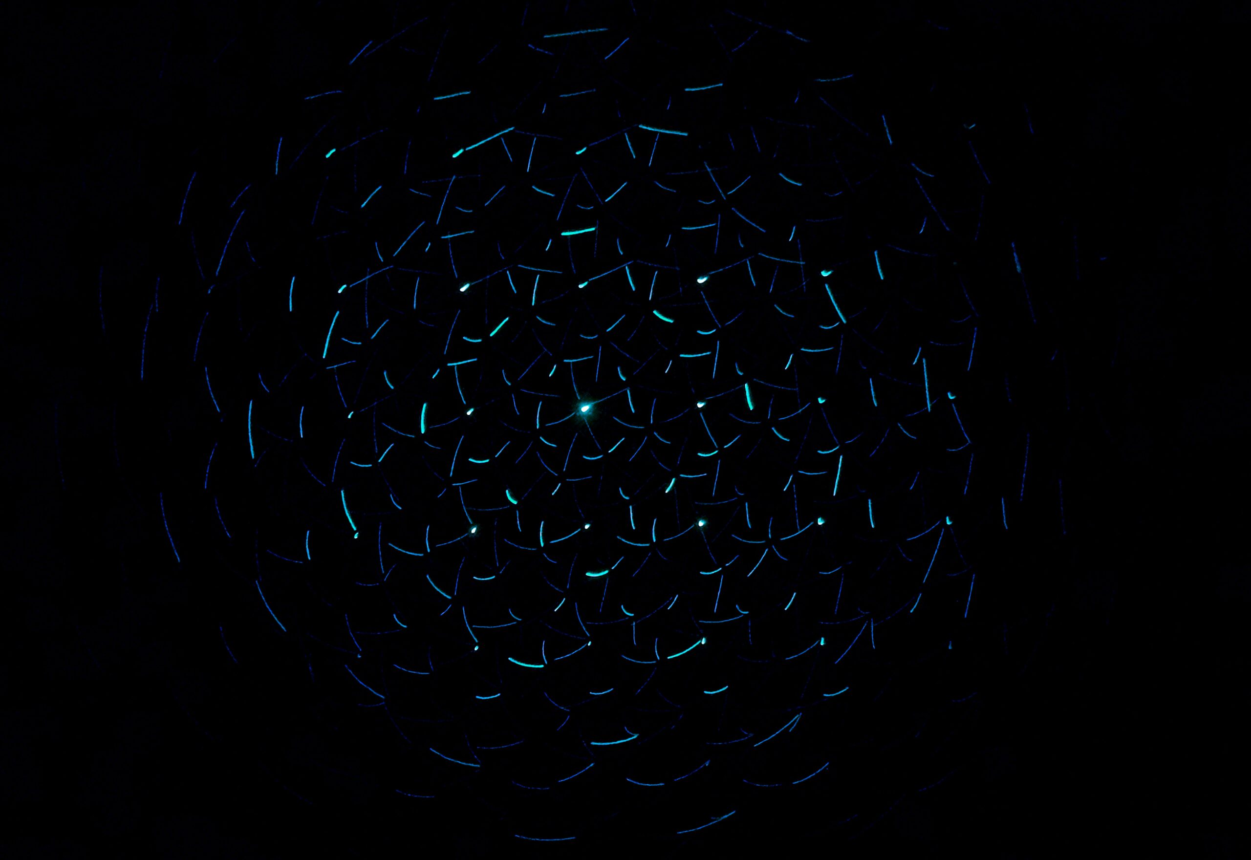 data-network-total-experience